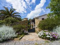 Agriturismo Podere Pizzicagallo - B&B Manciano