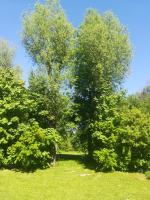 Camera Matrimoniale con Bagno Privato