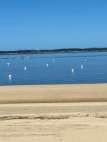 L'OCEAN vue bassin 1ère ligne Plage Pereire vue mer - Chambres d'hôtes Arcachon