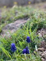 Les Barras’k - B&B Saint-Péray