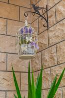 Appartement met Balkon