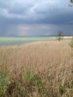 Apartamento de 2 dormitorios