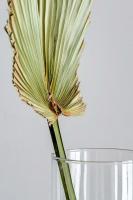 Appartamento Comfort Plus