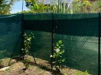 Bungalow con Vista Giardino