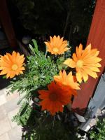 USIS_FERIENWOHNUNG im Harz - B&B Quedlinburg