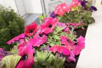 Appartement de standing - Ferienwohnung Berck