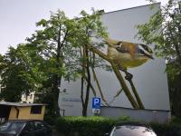Apartamenty Asia Kraków - B&B Cracovia