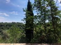 La Casa all'Oliveto - B&B