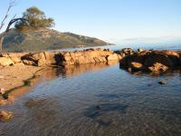 Pebble Shack - Chambres d’hôtes Coles Bay