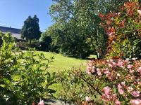 Gîte La Maison d'Amélie - B&B La Chapelle-Saint-Aubert