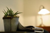 Small Double or Twin Room with Shared Bathroom