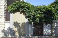 Private studio apartment with a garden and a terrace - Chambres d’hôtes Tisno