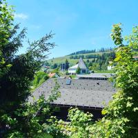 Haus am Sonnenberg,Todtnauberg, Ferienwohnung 002, direkt am Skilift-Skipiste, Nähe Feldberg - Chambres d'hôtes Todtnauberg