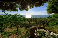 Panorami sul Trasimeno - B&B San Feliciano