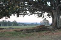 Valley Cabins By The Creek - B&B Imbil