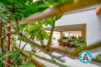 Apartamento - Planta baja