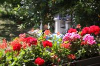 Apartman Rino - Ferienwohnung Bašanija