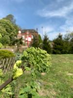 Habitación Doble con ducha