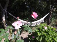 Le studio - B&B Porto-Vecchio