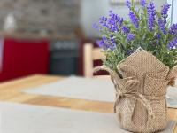 Casa Renato - B&B Grosseto