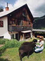 Zauneralm - B&B Aich
