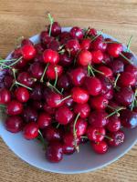 Chalupa Romantik na Hrinovskych lazoch - B&B Hriňová