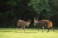 First Group Magalies Park