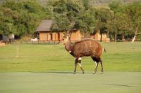 First Group Magalies Park