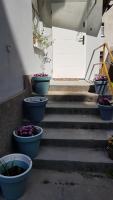 StudioSpanie Art Studio I small - B&B Sopot