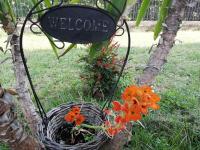 A&G Apartments - B&B Zanica