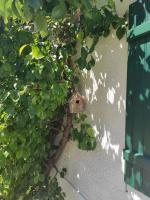 Gîte de la roseraie - B&B