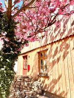 Gemütliche ökologische Ferienwohnung OG Innenstadt - B&B Wernigerode
