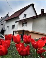 Apartment Balkan - Ferienwohnung