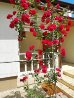 Brize Guest House - Bed and Breakfast