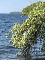 Schweriner See - Bed and Breakfast Raben Steinfeld