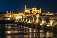El Encanto de Cordoba (Parking incluido) - Chambres d’hôtes Cordoue