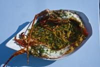 Sardis Rooms - B&B Kimolos