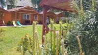 Domy "Pod Brzozami" - B&B