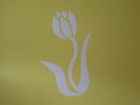 Lady Tulip - monolocale - Bed and Breakfast Trente