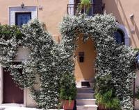 B&B Il Principe - Ferienwohnung