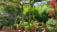 Villa dei fiori B&B - B&B