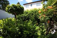 DAS Landhaus Klambauer - Apartmenthaus Thermennähe St Martins Therme - B&B Frauenkirchen