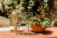 Hostly - Garden House near the Tower - Historical house with Private Garden - Bed and Breakfast Pisa