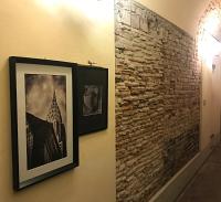 Hostly - Garden House near the Tower - Historical house with Private Garden - B&B