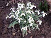 Haus am Fürstenweg - B&B Neustadt an der Weinstraße