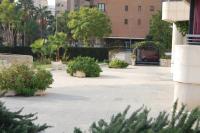 Benidorm Complejo San Francisco - Chambres d’hôtes Benidorm