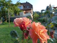 Locations Dupertuis Alsace - Ferienwohnung Le Hohwald