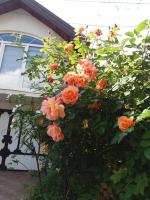 Art apartman - B&B Kakanj