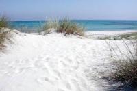 Appartamento vista mare - B&B La Caletta