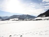 Ferienhaus Maurer - B&B Flachau